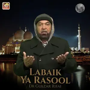 Labaik Ya Rasool - Single image
