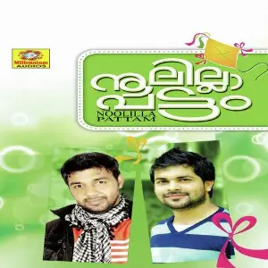 Noolilla Pattam image