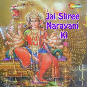 Jai Shree Narayani Ki image