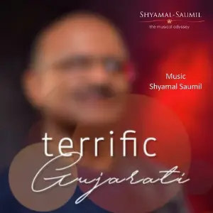 Terrific Gujarati - Gujarati Hip Hop Rap Song image