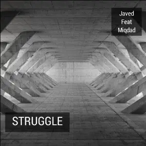 Struggle (feat. Miqdad) image