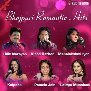 Bhojpuri Romantic Hits image