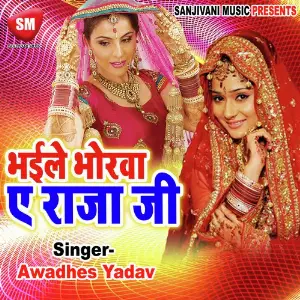 Bhaile Bhorba Aye Raja G image