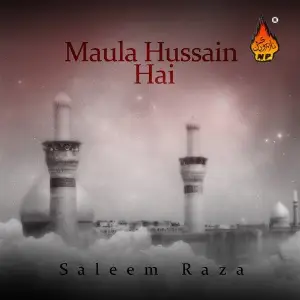 Maula Hussain Hai image