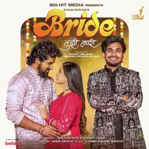 Bride Tujhi Navri image