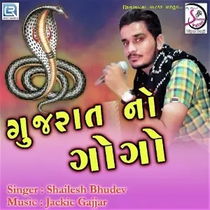 Gujarat No Gogo image