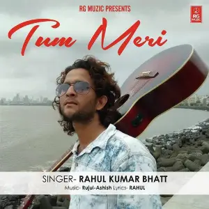 Tum Meri image