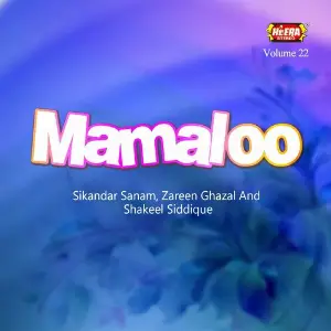 Mamaloo, Vol. 22 image