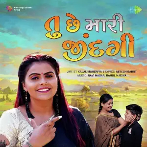 Tu Che Mari Jindagi image