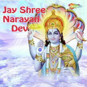 Jay Shree Narayan Dev image
