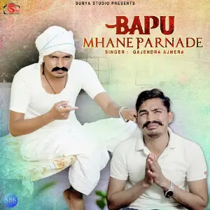 Bapu Mhane Parnade - Single image