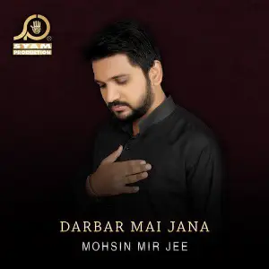 Darbar Mai Jana - Single image