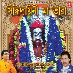 Sidhidayeni Maa Tara image
