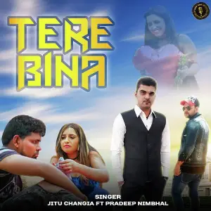Tere Bina image