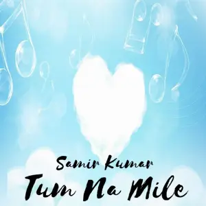 Tum Na Mile image