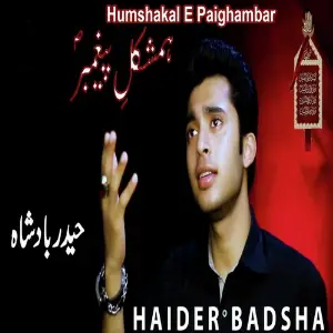 Humshakal E Paighambar image
