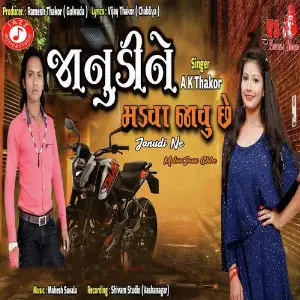 Janudi Ne Malva Javu Chhe image