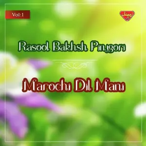 Marochi Dil Mani, Vol. 1 image