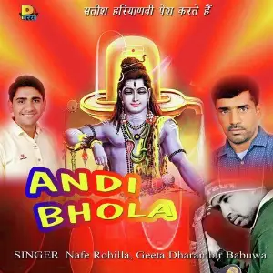Andi Bhola image