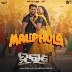 Mali Phula (From Haran) image