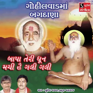 Gohilvadma Bagdana image