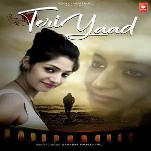 Teri Yaad image