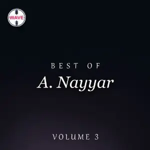 Best Of A. Nayyar, Vol. 3 image