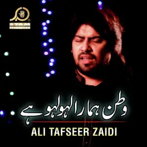 Watan Humara Lahu Lahu Hai - Single image