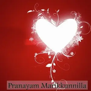 Pranayam Marikkunnilla image