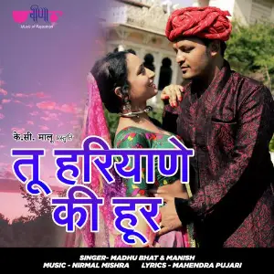 Tu Haryane Ki Hoor image
