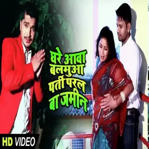 Parti Paral Ba Jamin image