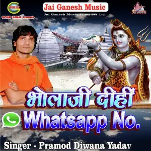 Bhola Ji Dehi Wtasapp No image