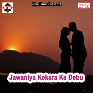 Jawaniya Kekara Ke Debu Various Artists