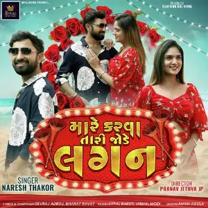 Mare Karva Tari Jode Lagan image
