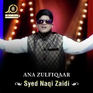 Ana Zulfiqaar - Single image