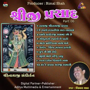 Shreeji Prasad-Shreenathji Sankirtan Pt.06 image