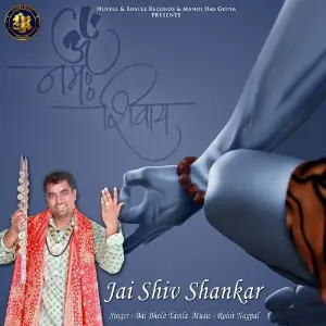 Jai Shiv Shankar image