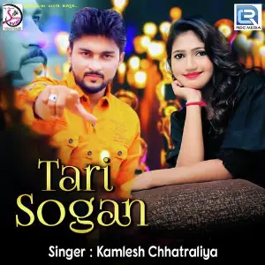 Tari Sogan image