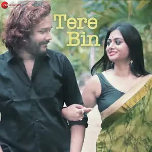 Tere Bin image