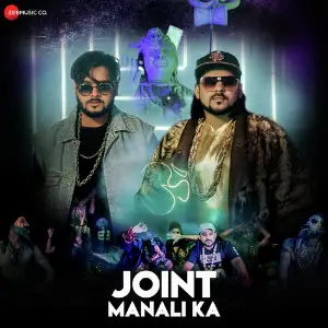 Joint Manali Ka image