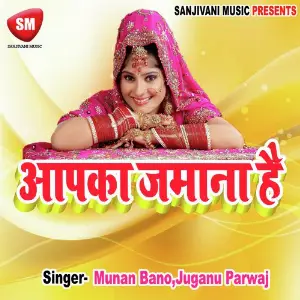 Apka Jamana Hai-Hindi Lok Geet image