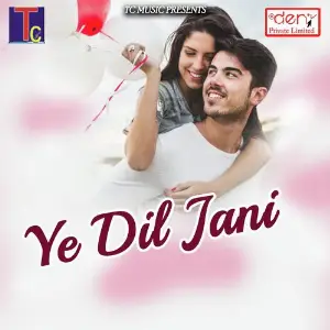 Ye Dil Jani Various Artists
