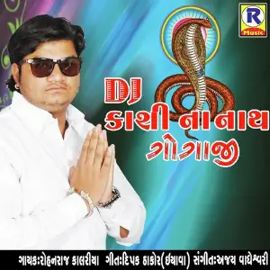DJ Kasi Na Nath Gogaji image