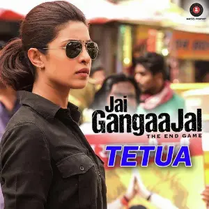 Jai Gangaajal image