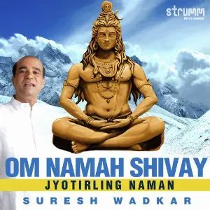 Om Namah Shivay - Jyotirling Naman image
