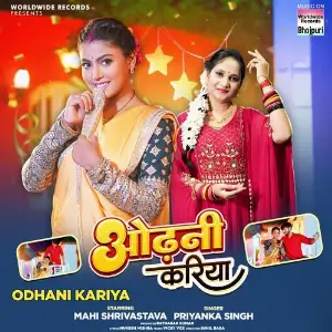 Odhani Kariya image