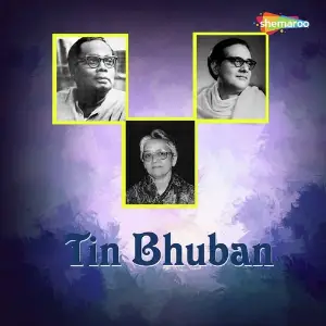 Tin Bhuban image