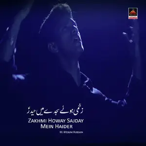 Zakhmi Howay Sajday Mein Haider image