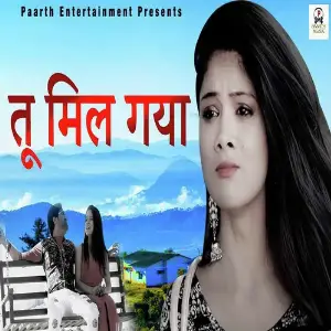 Tu Mil Gya image