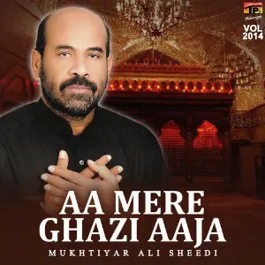 Aa Mere Ghazi Aaja, Vol. 2014 image